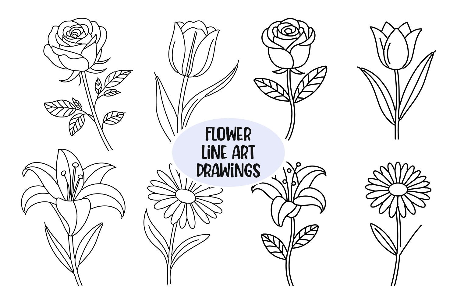 Flower Line Art Drawings Rose Clipart